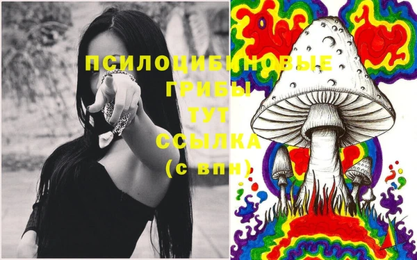 синтетический гашиш Верхний Тагил
